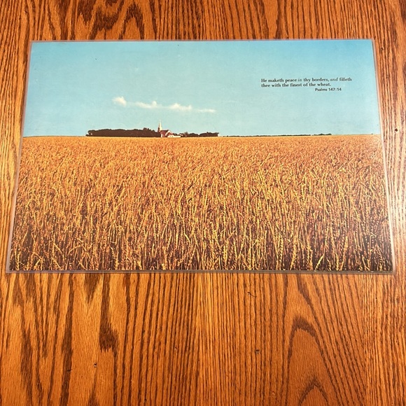 6 Vintage Inspirational Bible Scripture Laminated placemats by Bright of America - Picture 10 of 15